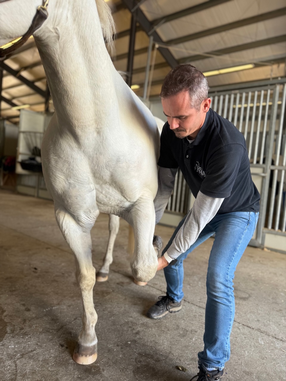 Tiago Miglio working on a horse's front leg