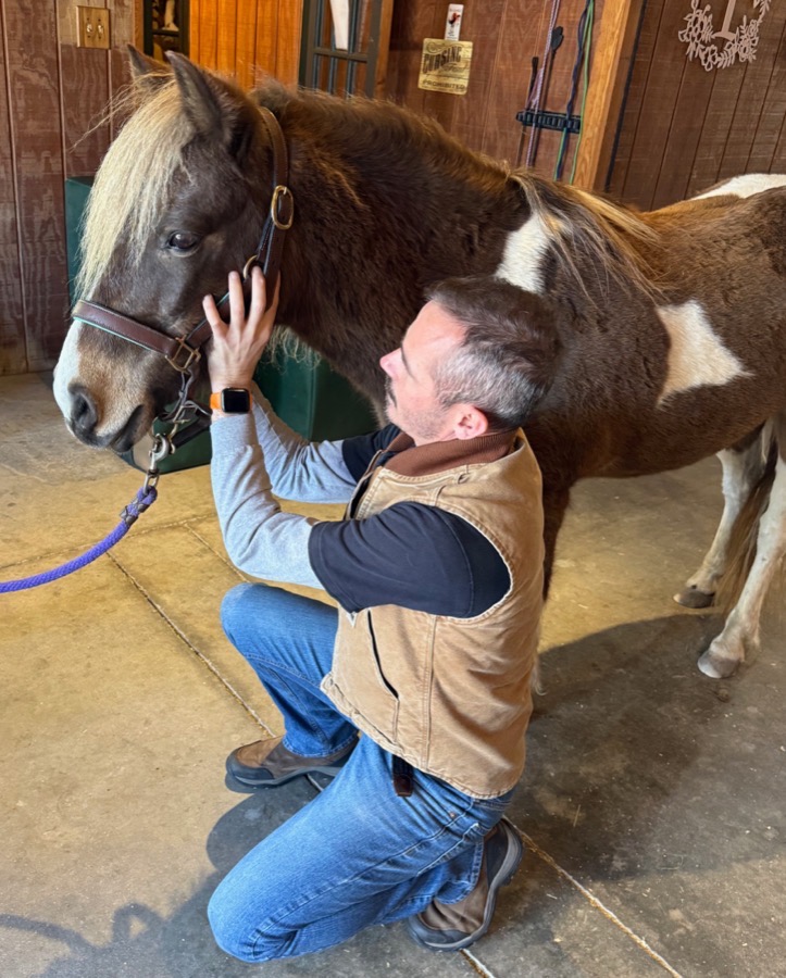 Tiago Miglio, equine chiropractor